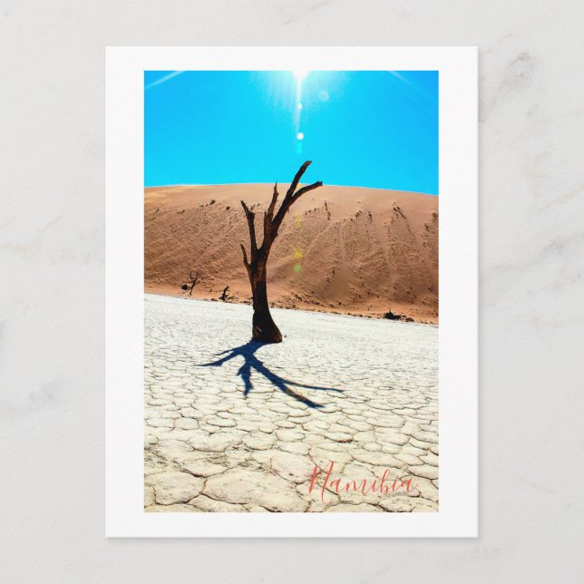 Cartão Postal Namíbia Sand Dunes Landscape Sossusvlei (Frente)