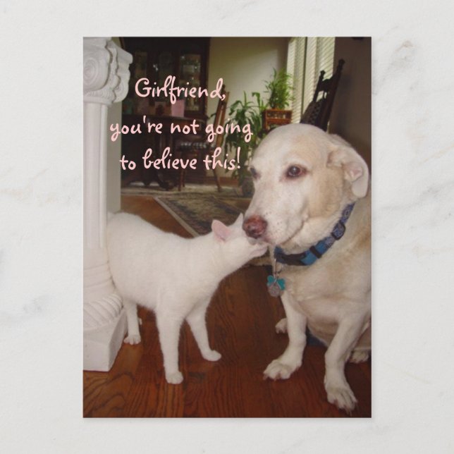 Cartão Postal Namorada, você não vai acreditar! (Frente)