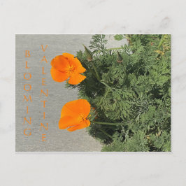 CARTÃO POSTAL NAMORADOS DE SANGUE