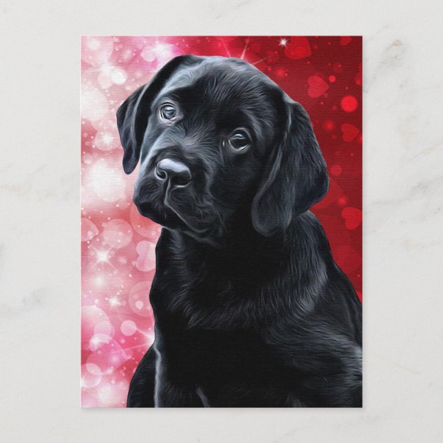 Cartão Postal Namorados - Labrador Preto - Lab Puppy (Frente)