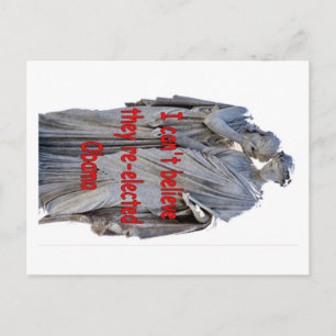 CARTÃO POSTAL NÃO ACREDITO QUE ELES REELEITORARAM OBAMA