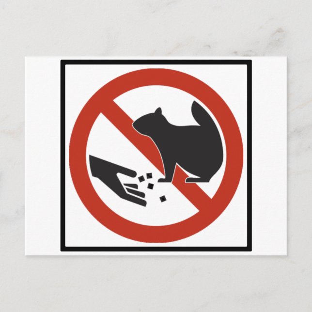 Cartão Postal Não Alimente o Sinal de Estrada dos Esquilos (Frente)