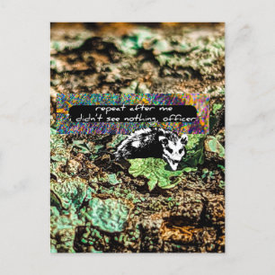 Cartão Postal Não compatível