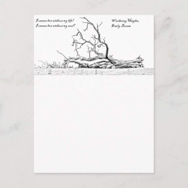 Cartão Postal Não Consigo Viver Sem A Minha Alma Sem Alturas (Frente)