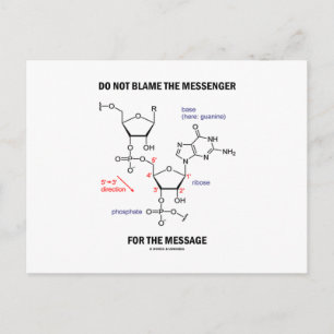 Cartão Postal Não Culpe O Mensageiro Pela Mensagem