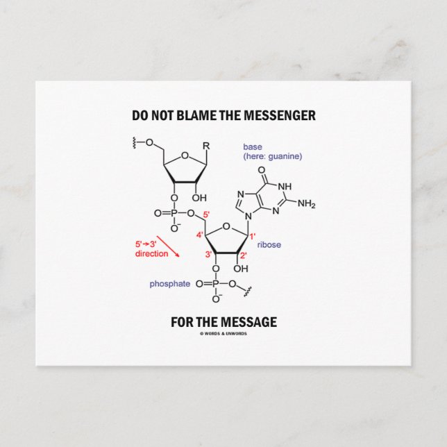 Cartão Postal Não Culpe O Mensageiro Pela Mensagem (Frente)