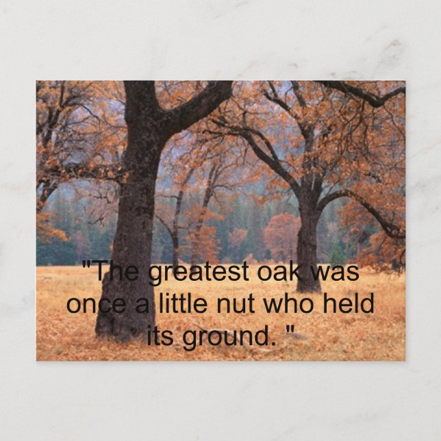 Cartão Postal Não desista (Frente)