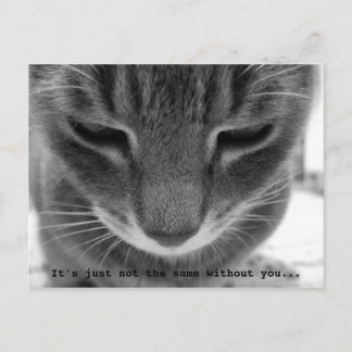 Cartão Postal Não é o mesmo sem você...