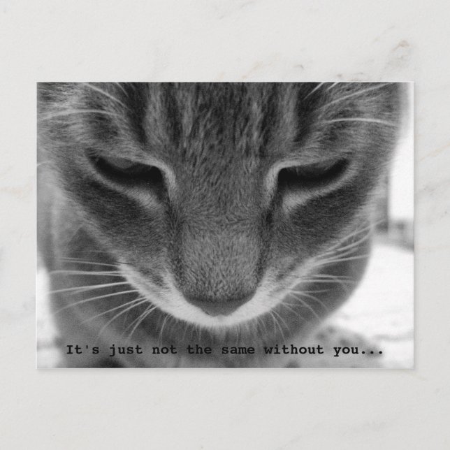 Cartão Postal Não é o mesmo sem você... (Frente)