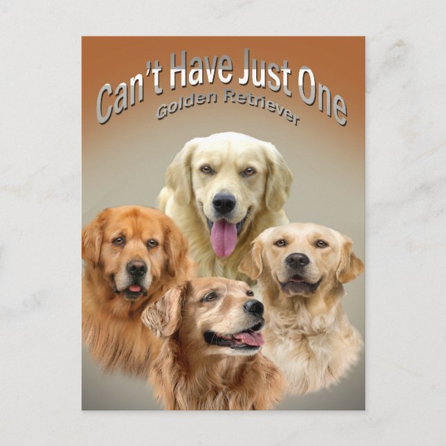 Cartão Postal Não é possível ter apenas um cartão-postal de Ouro (Frente)