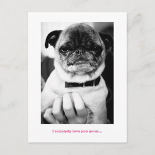 Cartão Postal Não é um momento excitado