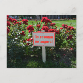 Cartão Postal Não escolha as flores, Ruas. Petersburgo, Rússia
