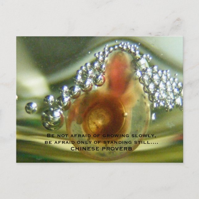 Cartão Postal Não esteja receoso do crescimento lentamente, (Frente)
