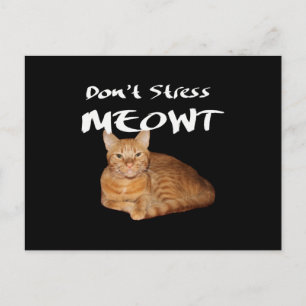 Cartão Postal Não Estresse Meowt - Gato Laranja Me Deixa Estress