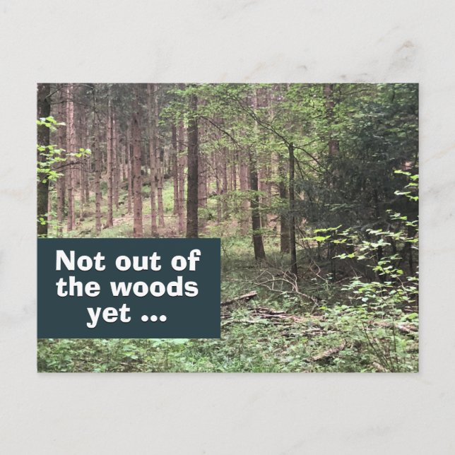 Cartão Postal Não fora do mato ainda quarentena na natureza (Frente)
