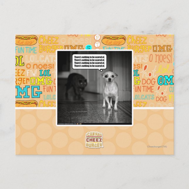 Cartão Postal Não há nada scared de (Frente)