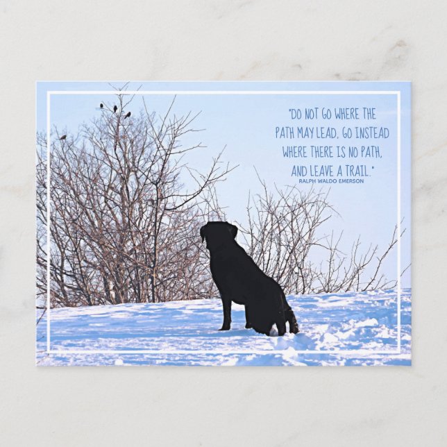 Cartão Postal Não Ir Onde O Caminho Pode Liderar A Cotação Emers (Frente)