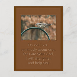 Cartão Postal não olhe com ansiedade sobre seu pássaro na arca