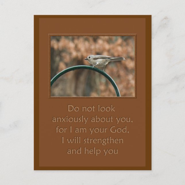 Cartão Postal não olhe com ansiedade sobre seu pássaro na arca (Frente)