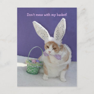 Cartão Postal Não se meta com a minha cesta!
