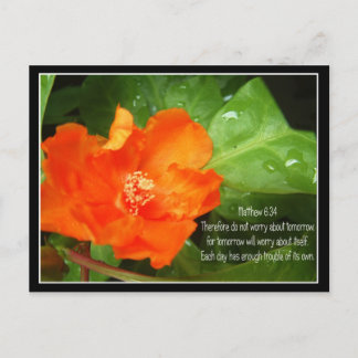 Cartão Postal Não Se Preocupe Com Amanhã