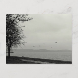 Cartão Postal Não um dia sunshiny no lago