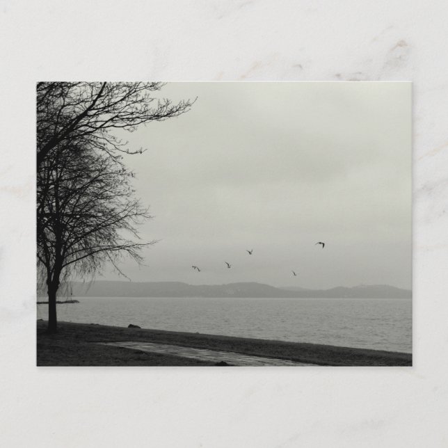 Cartão Postal Não um dia sunshiny no lago (Frente)