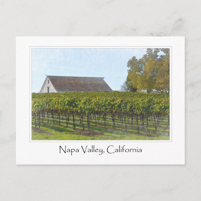 Cartão Postal Napa Valley California Vineyard e Barn (Frente)