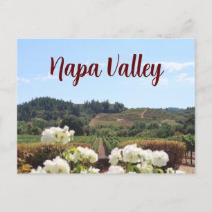 Cartão Postal Napa Valley, vinha da Califórnia e flores