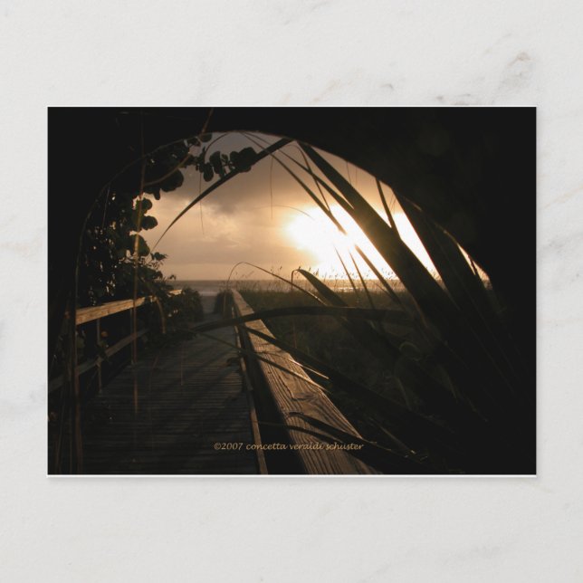 Cartão Postal Naples Sunset (Frente)