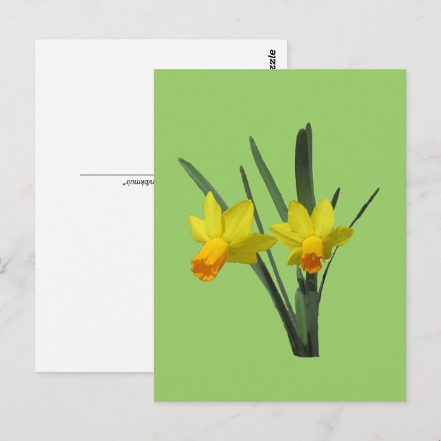 Cartão postal - Narciso (Frente/Verso)