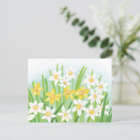 Narcisos da Primavera 
