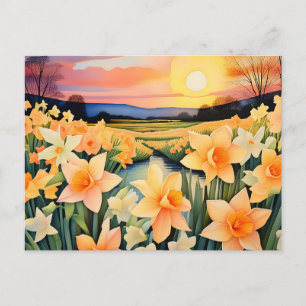 Cartão Postal Narcisos Dourados Ao Pôr Do Sol Em Um Prado Tranqu