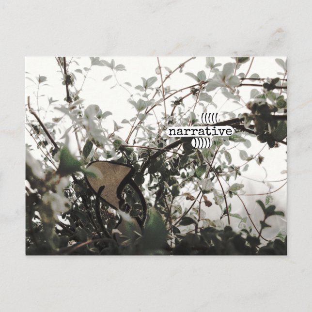 Cartão Postal ((((narrativa))) (Frente)