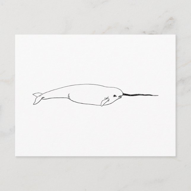 Cartão Postal Narwhal (linha ilustração da arte) (Frente)