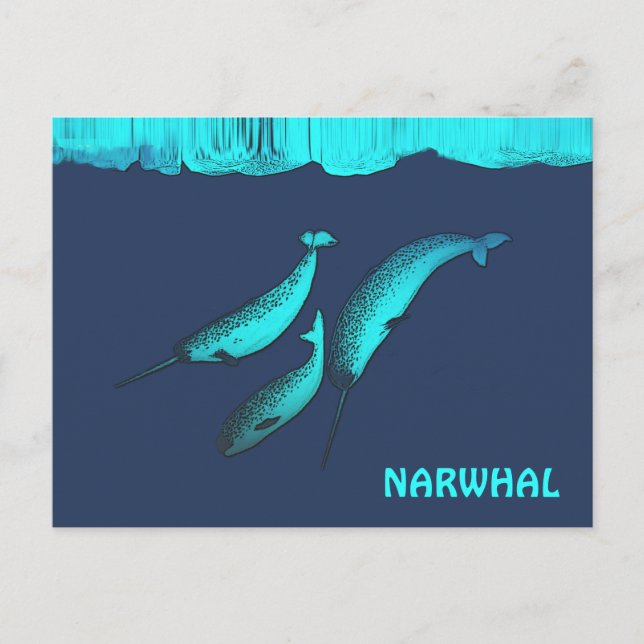 Cartão Postal Narwhal Sob O Gelo (Frente)