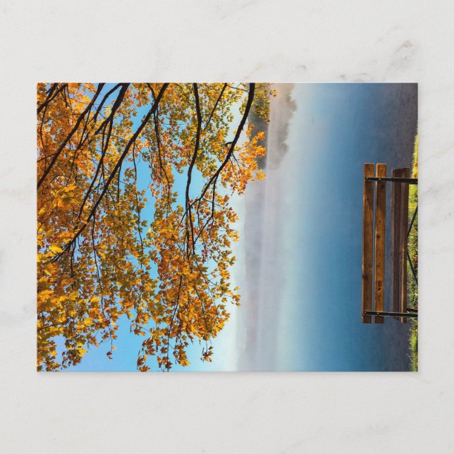CARTÃO POSTAL NAS CORES DA NATUREZA DO OUTONO (Frente)