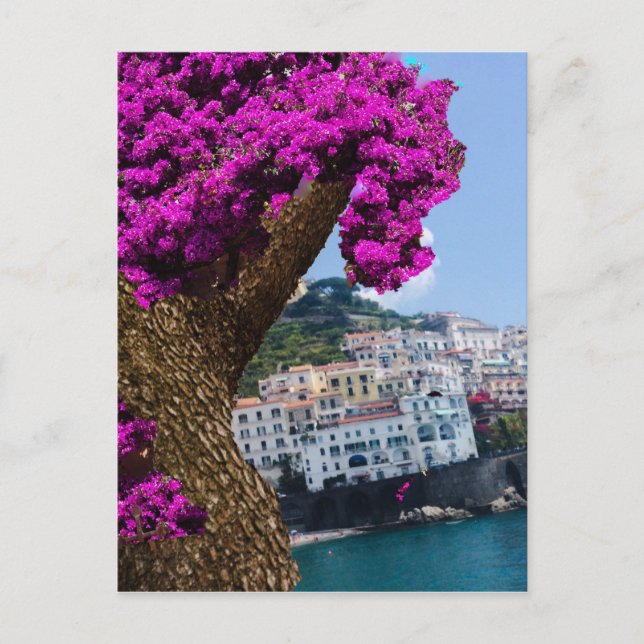 Cartão Postal Nas viagens você vê a maravilha de um mundo difere (Frente)