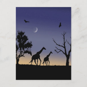 Cartão Postal Nascença africana - girafas