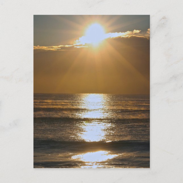 Cartão Postal nascente de Palm Beach (Frente)