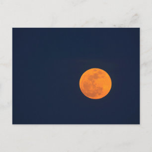 Cartão Postal Nascer da Lua da Super Lua   Savannah, Geórgia