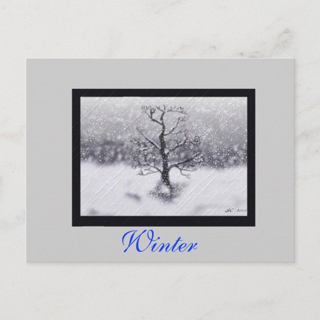 Cartão Postal Nascer de inverno (Frente)