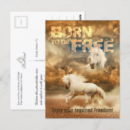 Cartão Postal Nascer de ser livre, Beleza da Natureza: Cavalo Br