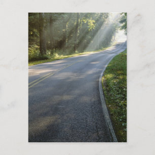 Cartão Postal nascer do sol através da névoa ao lado do rio Ve