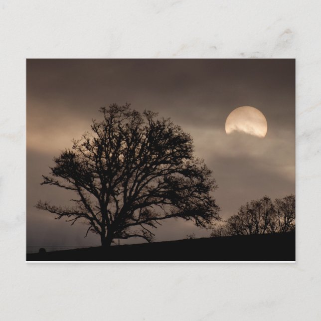 Cartão Postal Nascer do sol no vale de Umpqua (Frente)