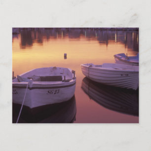 Cartão Postal Nascer do sol sobre o porto de Stari Grad com pesc