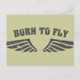 Cartão Postal Nascer Para Asas De Voo
