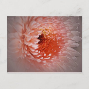 Cartão Postal Nascer para sucesso