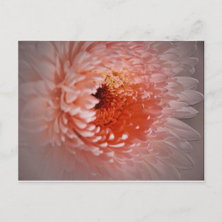 Cartão Postal Nascer para sucesso