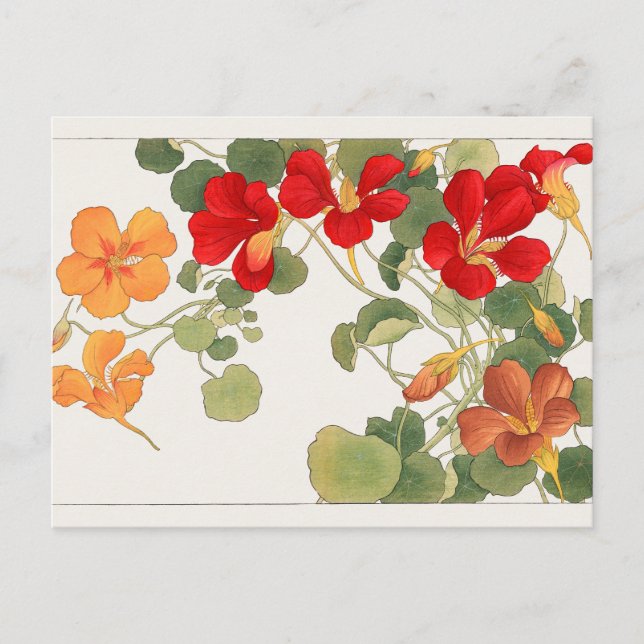 Cartão Postal Nasturtium por Tanigami Konan (Frente)